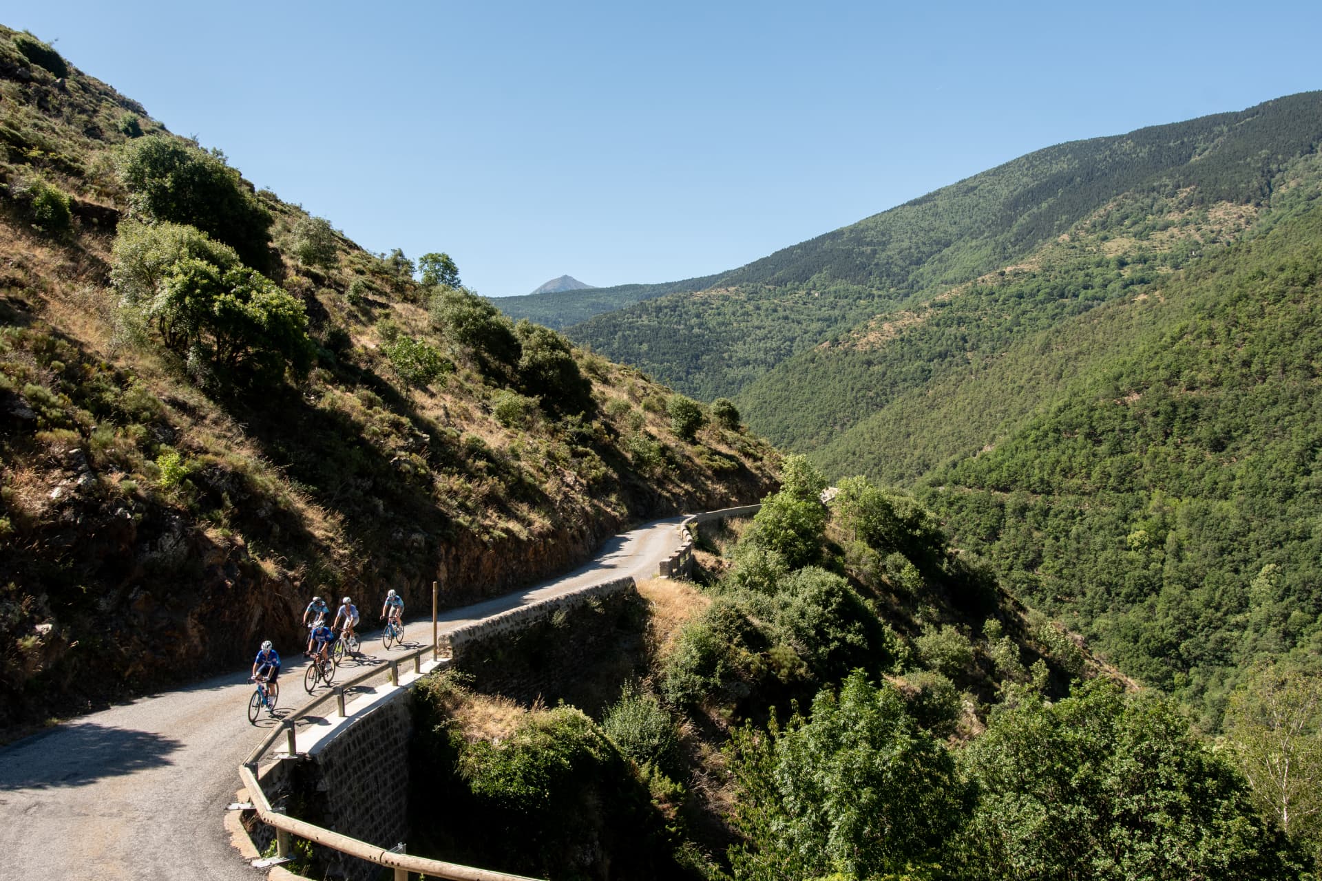 Pelotón de ciclistas en carretera de montaña con valle al fondo.